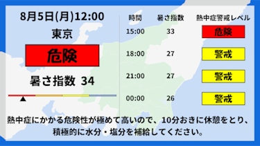 来店客分析と可視化